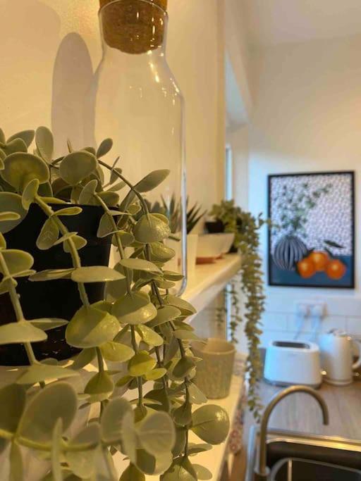 Garden Apartment, Central Harrogate With Parking Екстер'єр фото