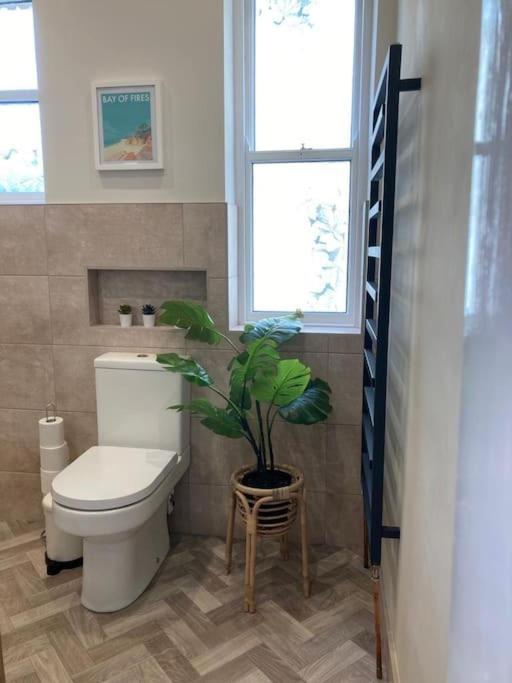 Garden Apartment, Central Harrogate With Parking Екстер'єр фото