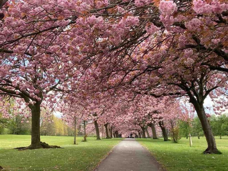 Garden Apartment, Central Harrogate With Parking Екстер'єр фото